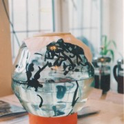 Медицинские сертифицированные пиявки