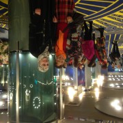 всемирный конгресс гирудотерапевтов699