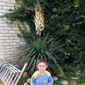 Внук Алишка