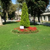 В санатории Барвиха