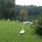 Московский парк